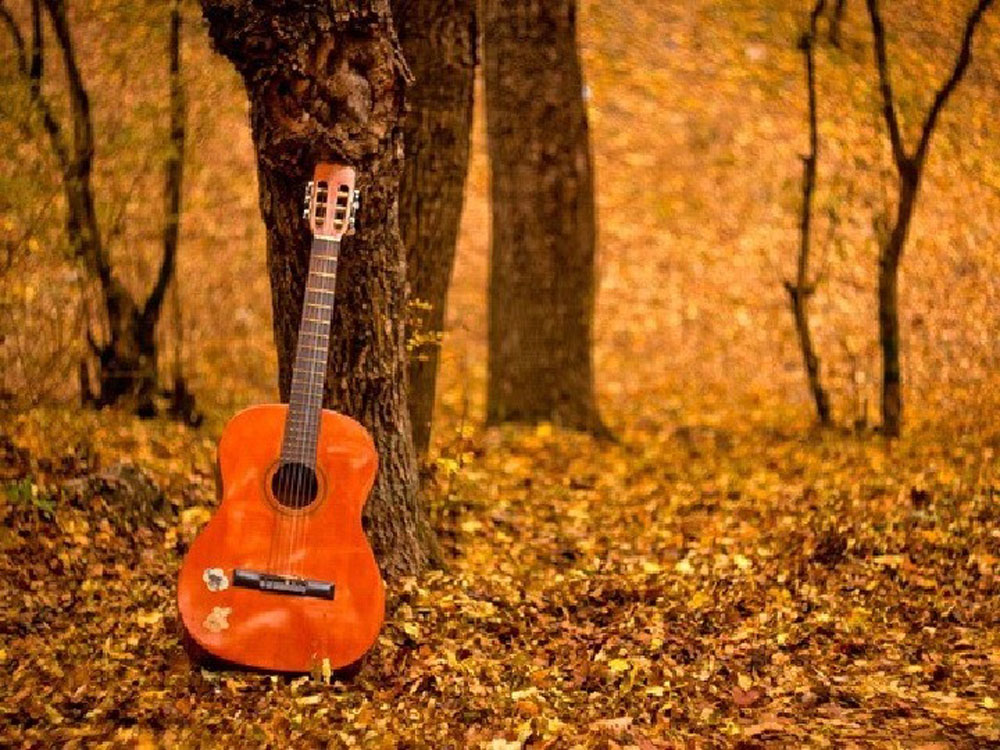 Я осени пою. Гитара в осеннем лесу. Гитара в осенних листьях. Электрогитара в осенних листьях. Гитара в лесу.